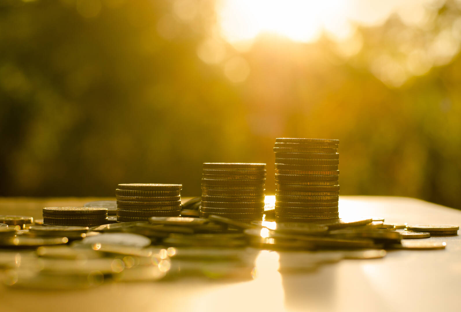 Paycheck Loans