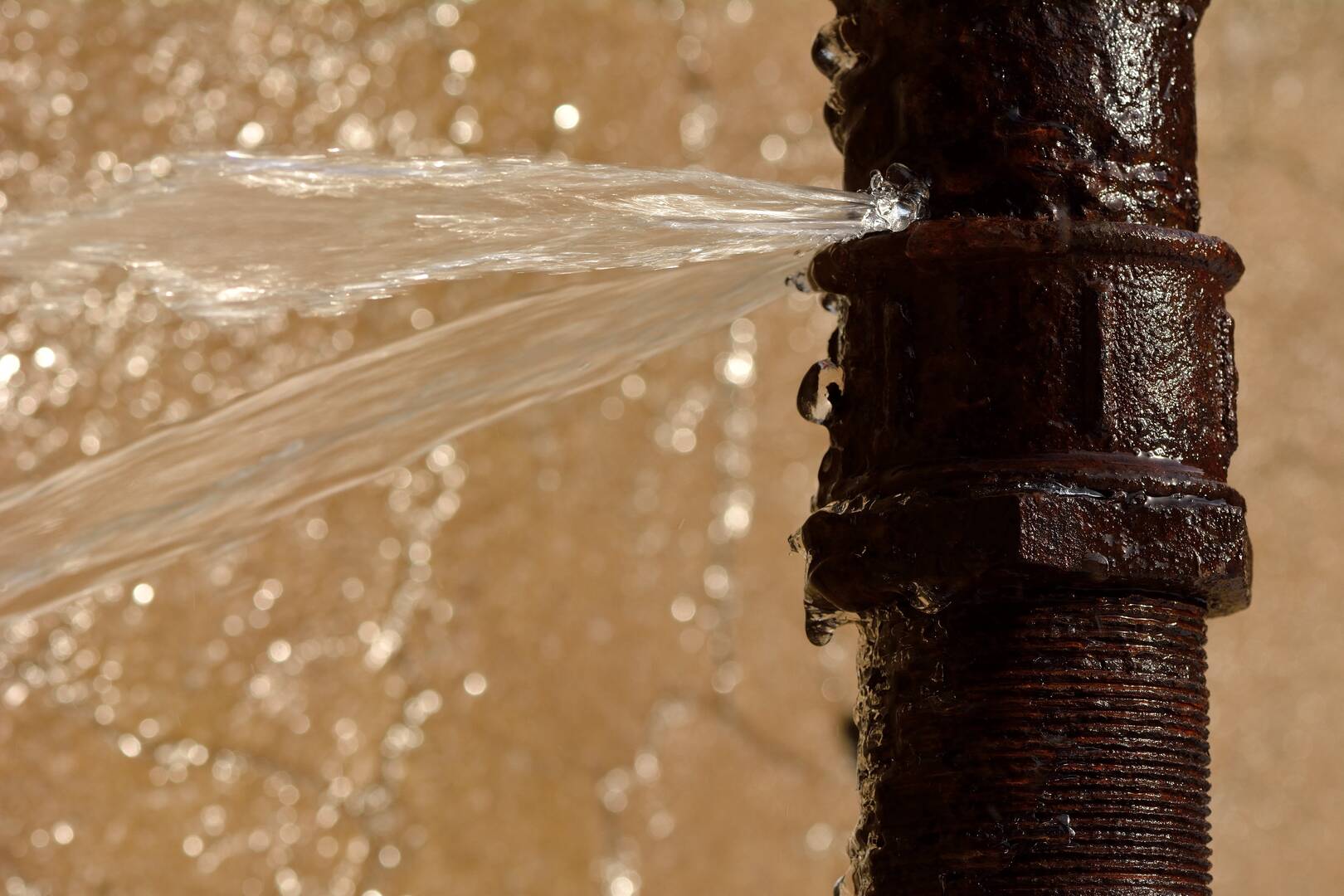 Forrest Sewer Pump Service